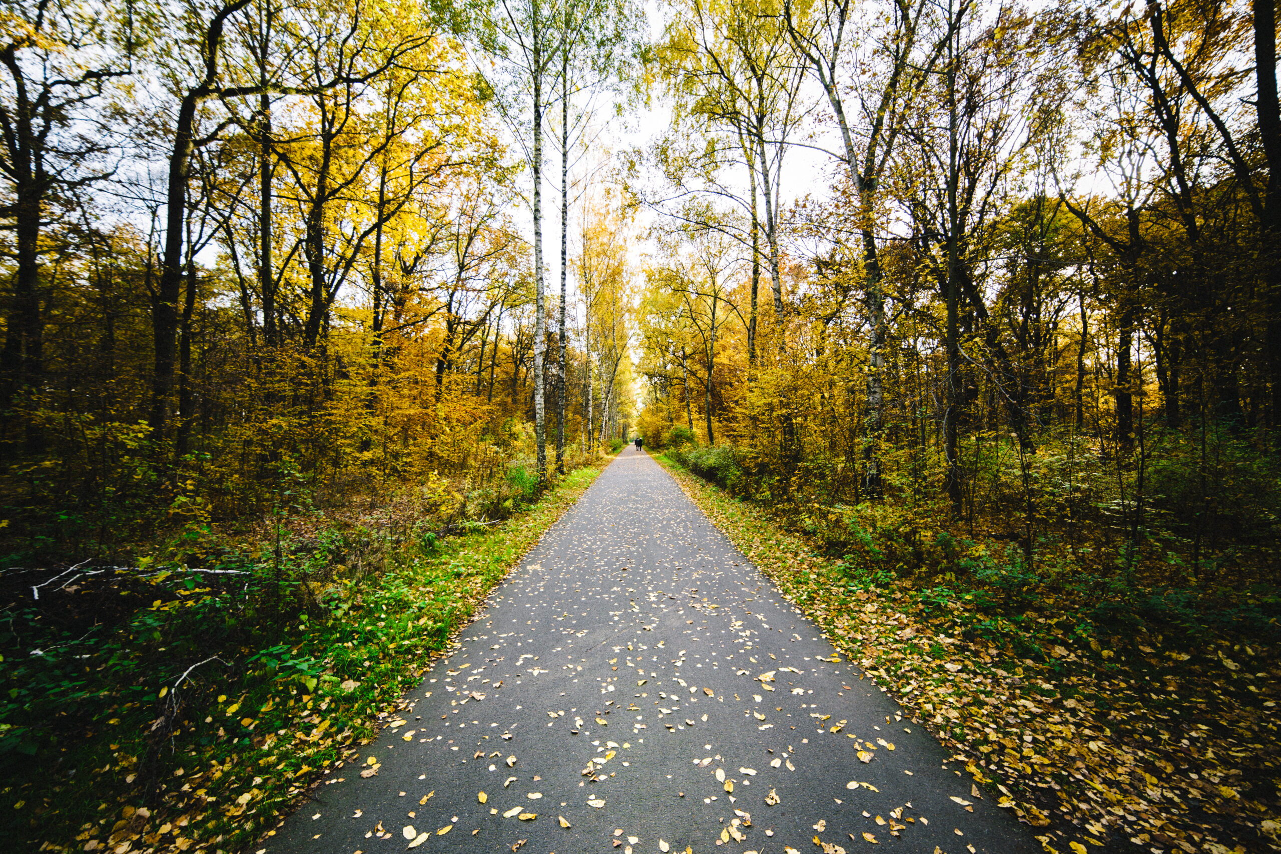 Promenades Théoriques